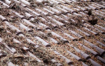 Second Coast roof cleaning companies