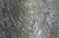 Second Coast fibreglass roof work